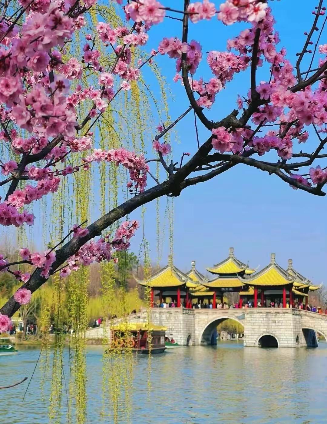 微笑前行生活从不会事事如意，命运也未必处处温柔。那些难走的路、难言的苦