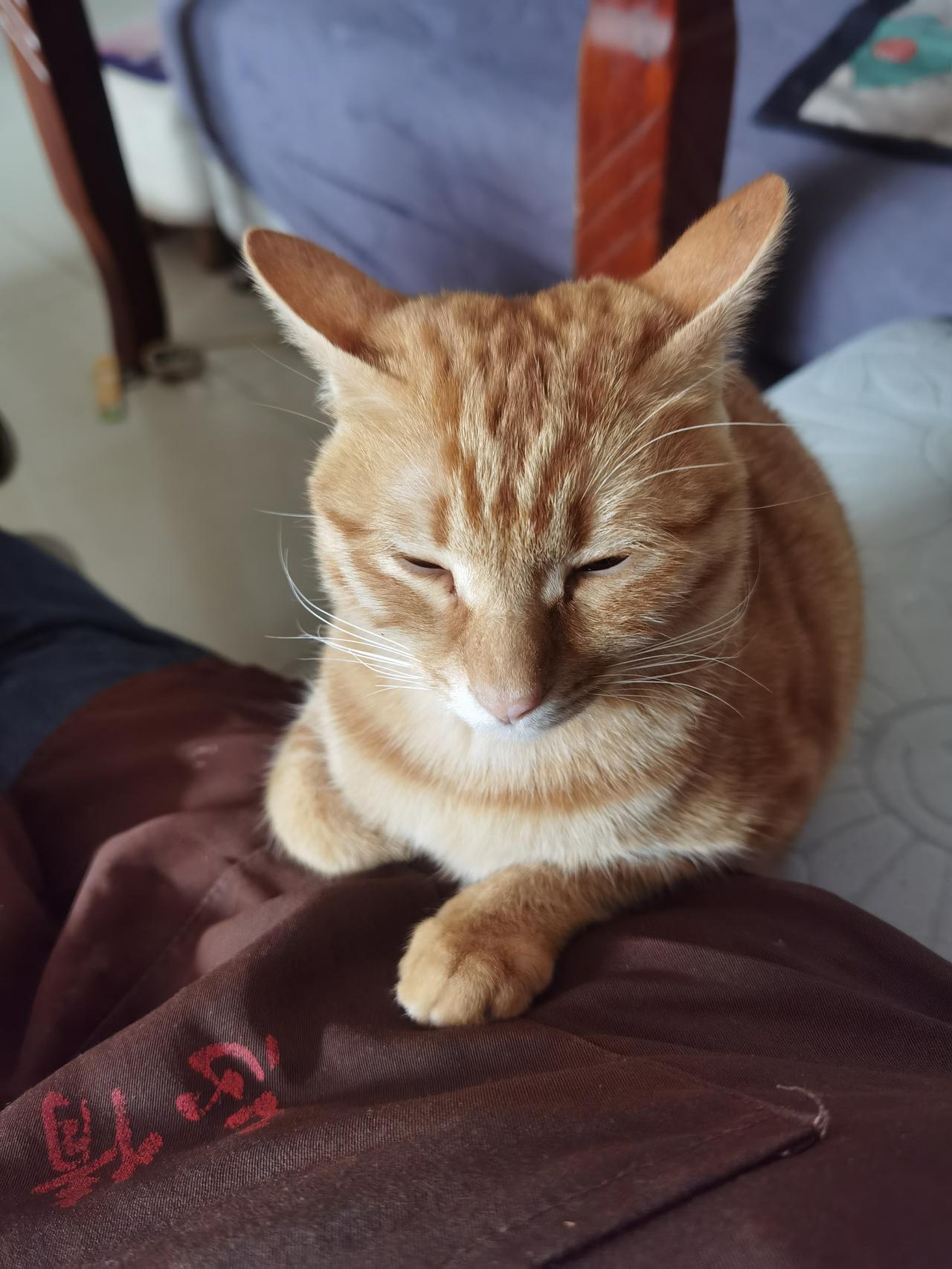 分享我这周有趣的事：这周有趣的莫过于要说说股票，我老公一直有个股票账户，周一的时