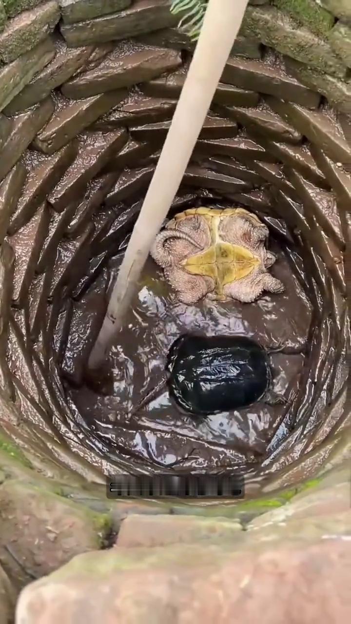 老井里的秘密。这位男人在野外发现一口百年老井，他用抽水机把水抽干，没想到里面竟