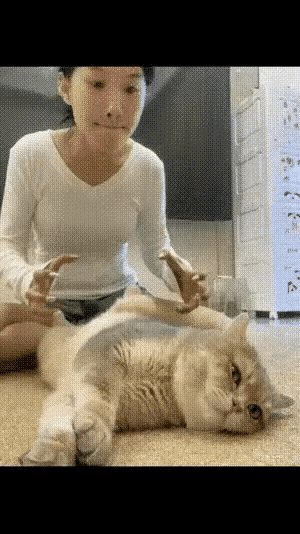 喵：你得到我的身子，得不到我的心沙发喵䳜喵猫太摘猫太摘玻璃心喵