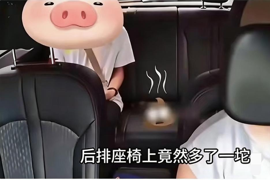 “真是令人作呕！”顺风车司机接了个40多岁男乘客，路上堵车开了11小时，中途问要