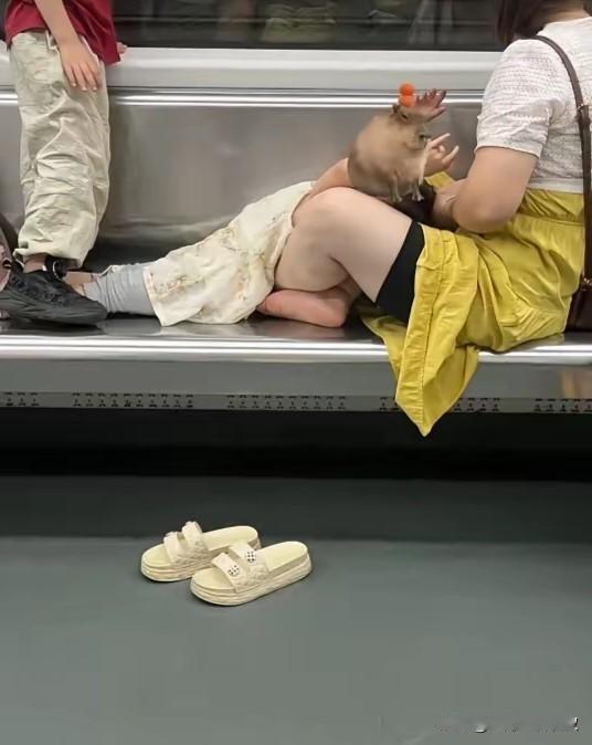 最近网上关于上海地铁车厢里的乱像真多的现象，我个人认为不是最近出现，而是一直存在