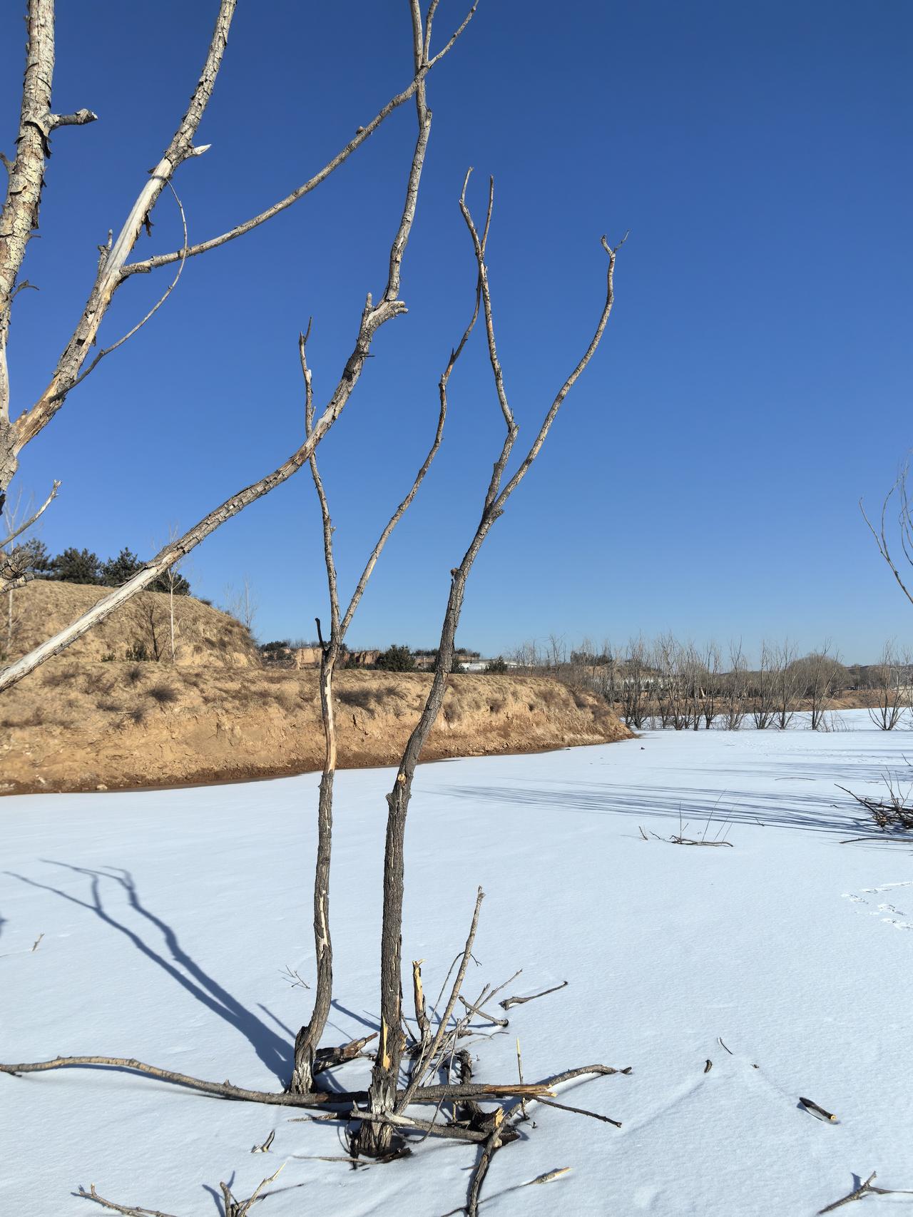 冰雪中的世界，只不过随着春天的到来，用不了多久就会融化！
