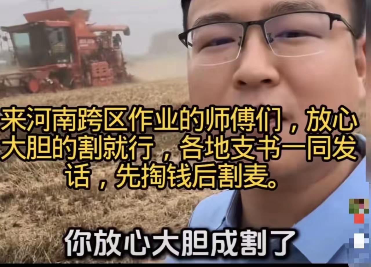 这一波，河南的村干部们是真让人刮目相看！“来河南割麦的师傅们，放心大胆的割就行，