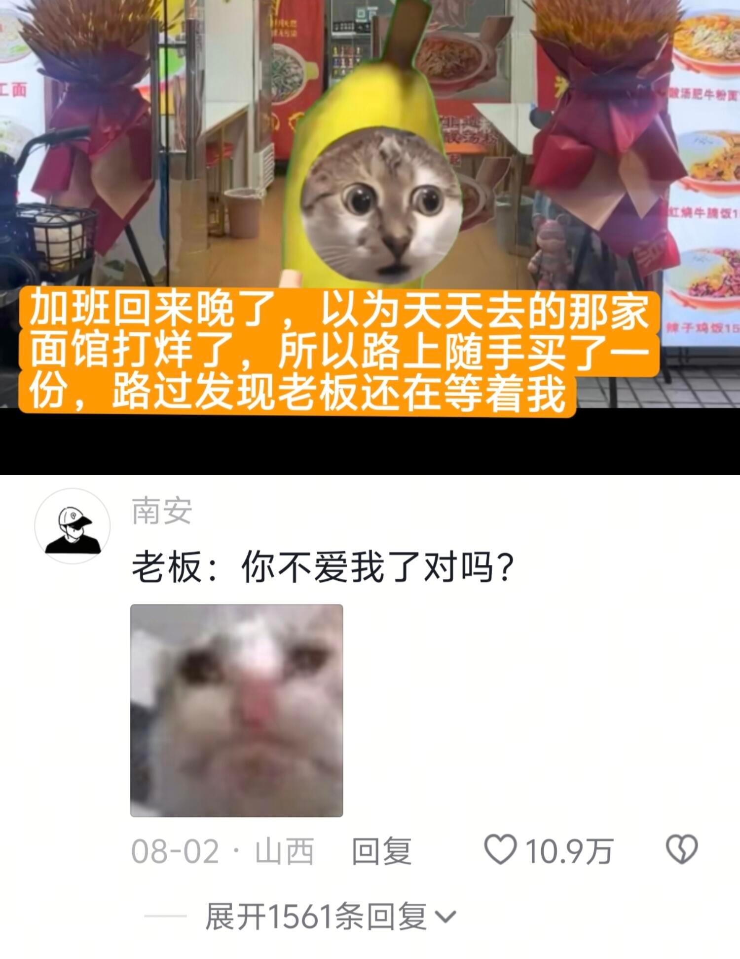 我真有罪啊🥺|老板：我无名分，我不多嗔我的精神状态凉好​​​
