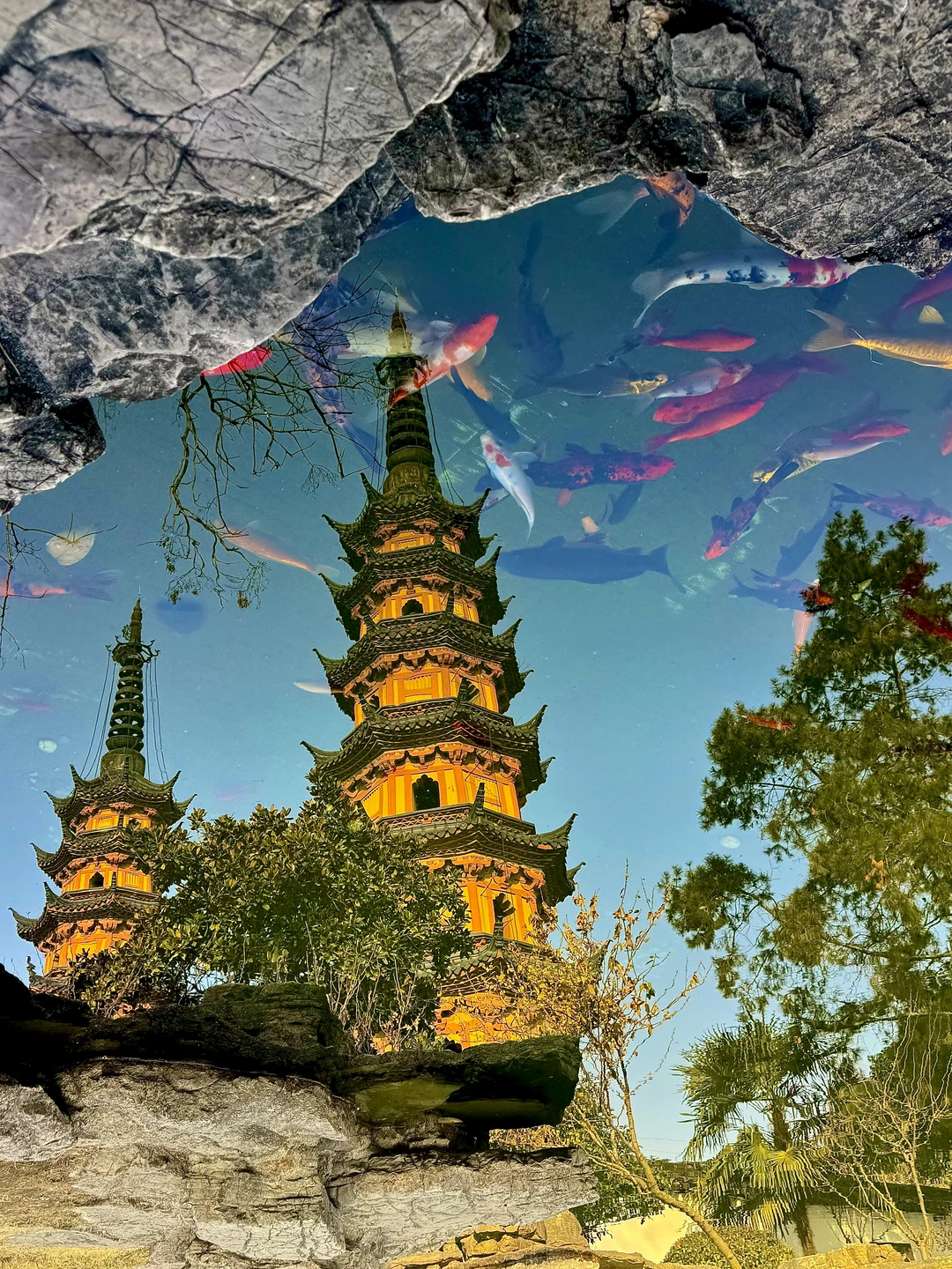 有且只有苏州有！赢麻了！！！