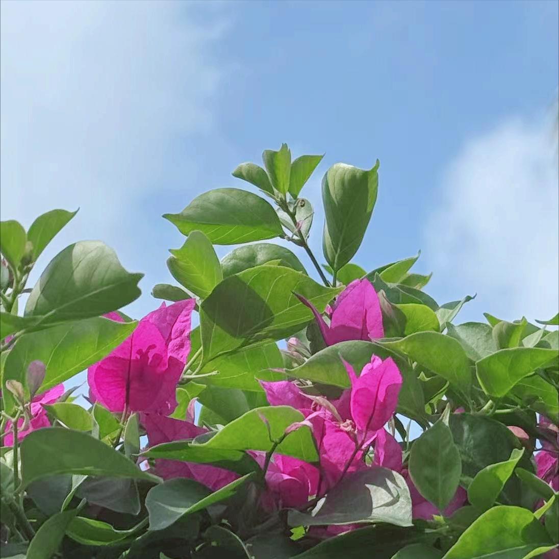 苏州迎来新的政府主要负责同志 3月30日，今年55岁的王维履新该市。 该