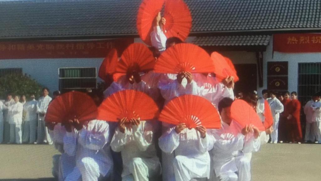 太极拳24式视频_莲花太极扇音乐红梅赞