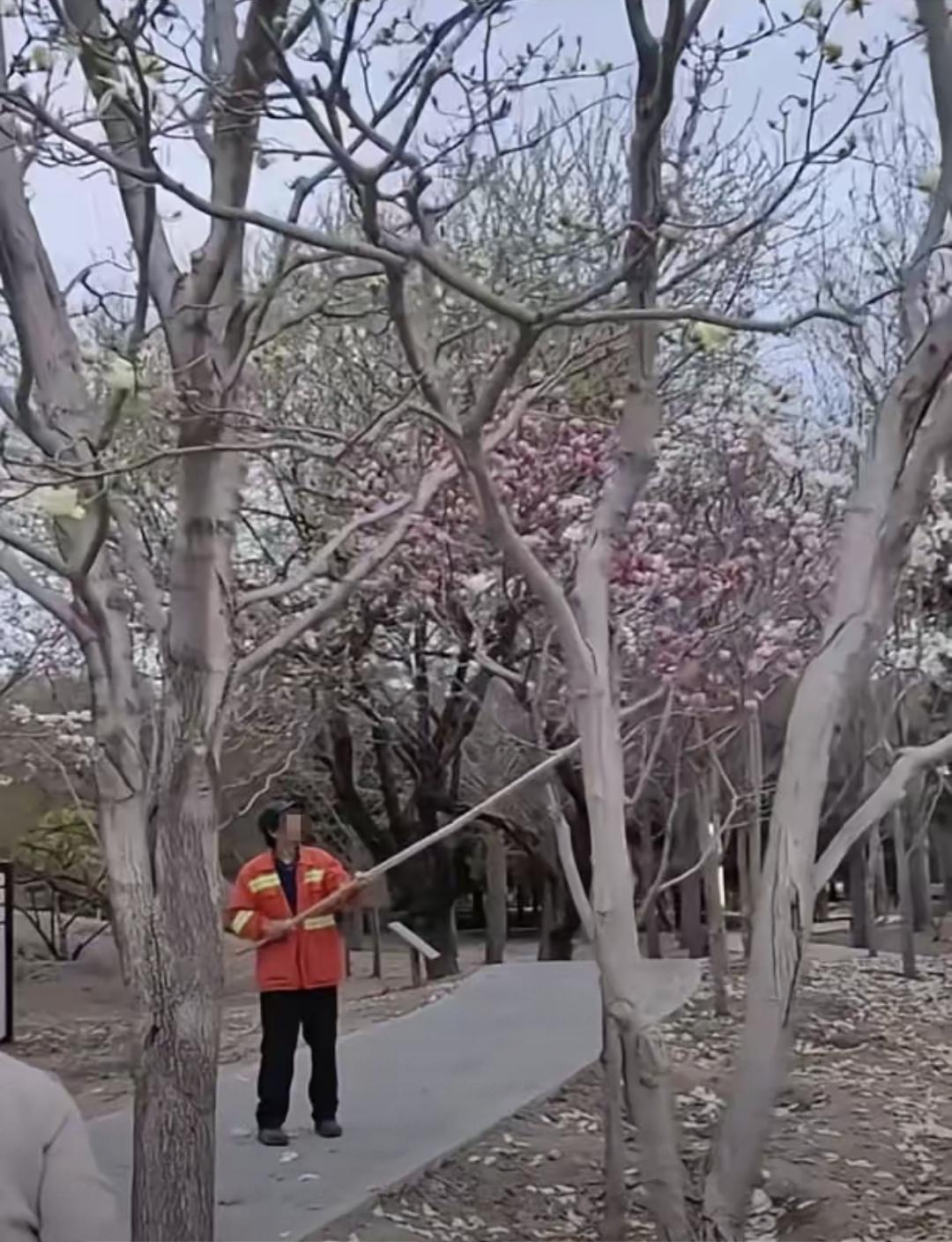 2026年3月29号，北京兴隆郊野公园，几个穿“景观兴隆”制服的保洁，举着长竹竿