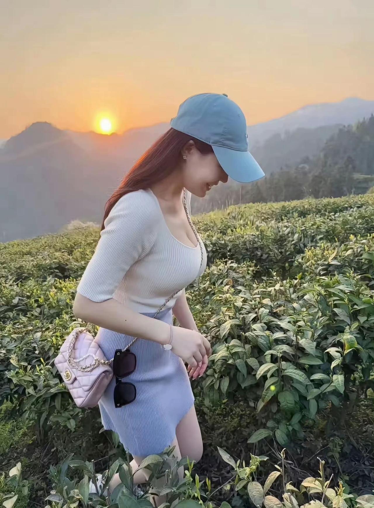 采茶Y头😯