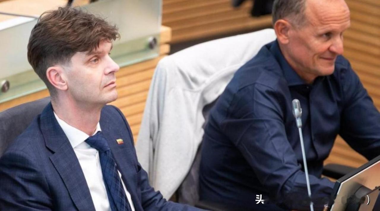中方没想到，为重塑中立关系，立陶宛豁出去了，值得日本好好学习立陶宛议员自费赴