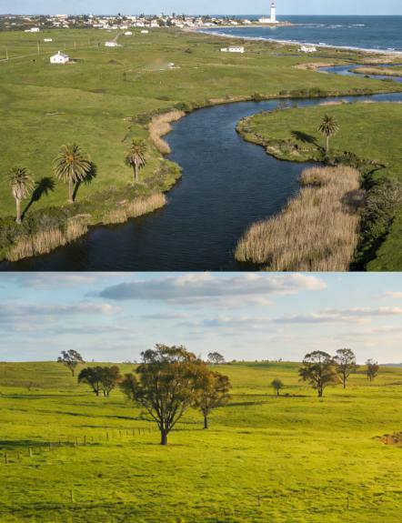 乌拉圭总统也来华了，乌拉圭是一个什么样的国家呢？简单介绍一下，这个被称作“南美瑞