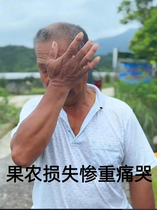 面对福建果农们因杨梅滞销的痛哭和社会求助，消费者无法共情只想说一句，既然你们给杨