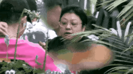 韩红抽的是雪茄，不知是国产的还是进口的。豆包显示，国产的几十或几百元一支，进口的