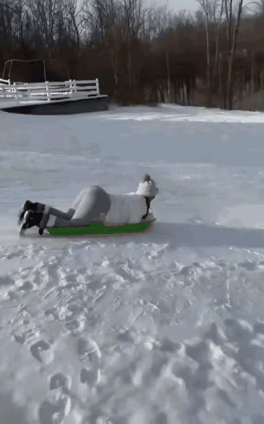 这都是些什么人发明的动作？怎么有些眼熟呢？但是这是在滑雪场，不是操场啊！？哦，可