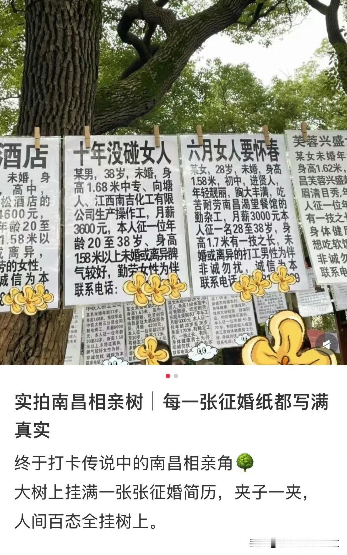 这个相亲角的，要求合理一点。