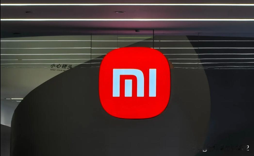 小米10000mAh级超大电池进展顺利：可量产！据博主“数码闲聊站”透露，某厂