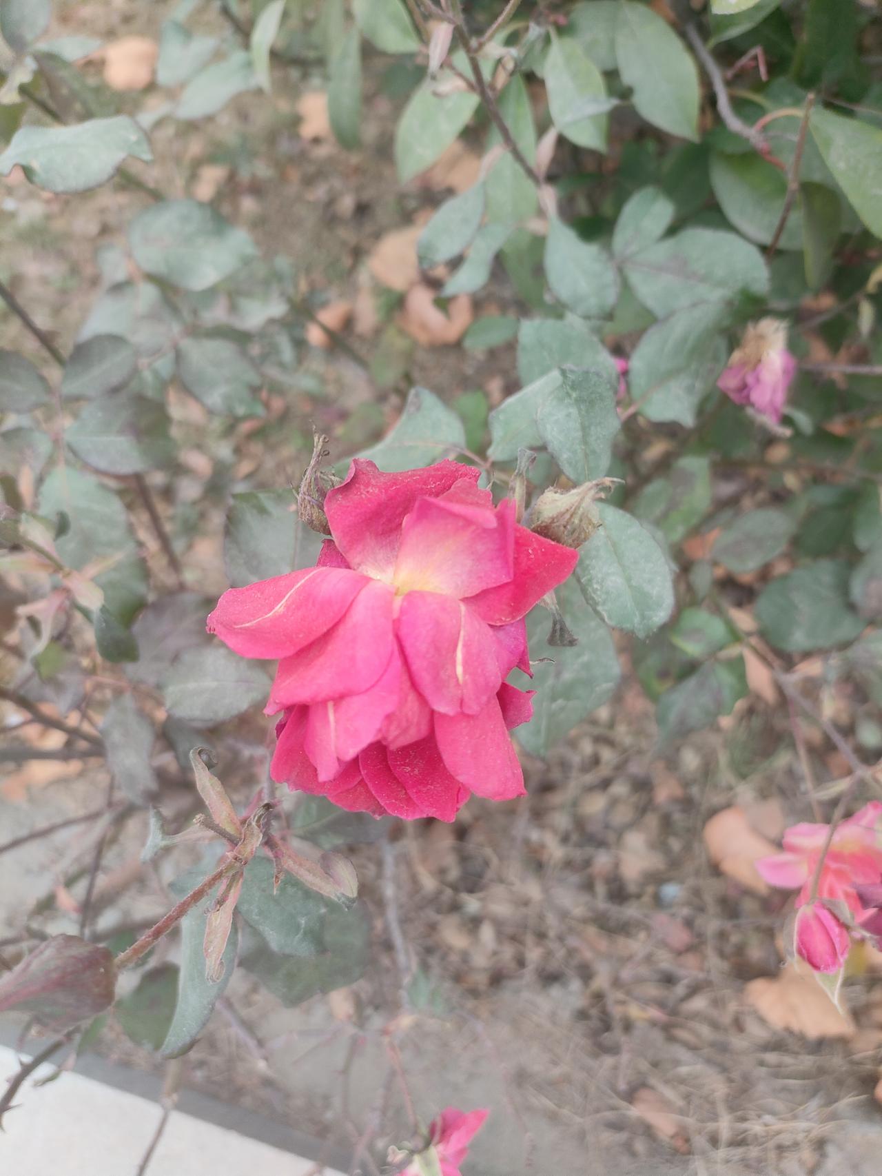 有人说，我们今天的教育被那些不学习的学生家长给绑架了不让买教辅，不让考试，不让