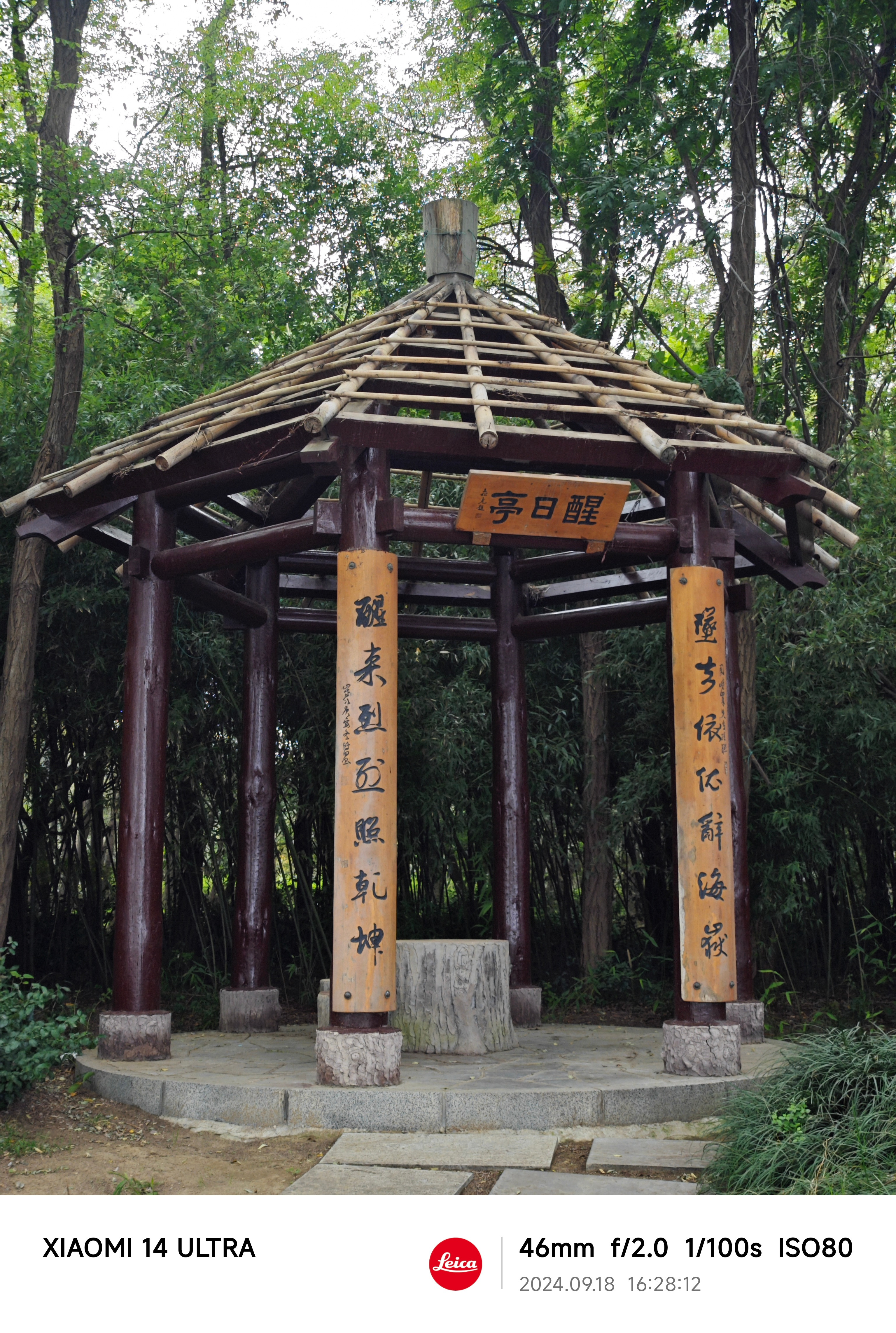 早距离2026还有33天