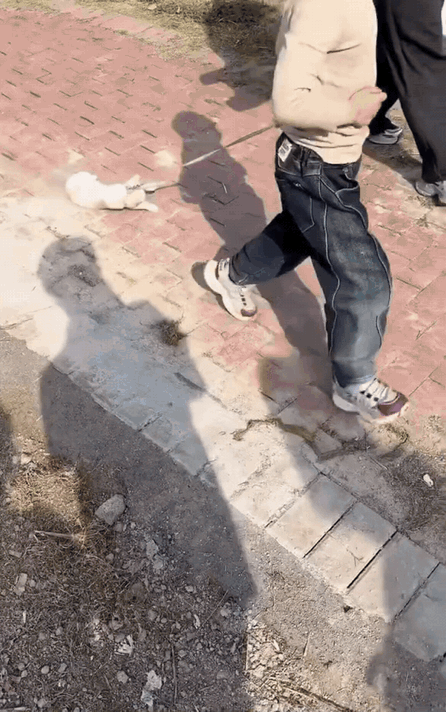 不爱请别伤害！3月22日河南（发布），一网友在公园游玩时，看到一个小男孩用绳子