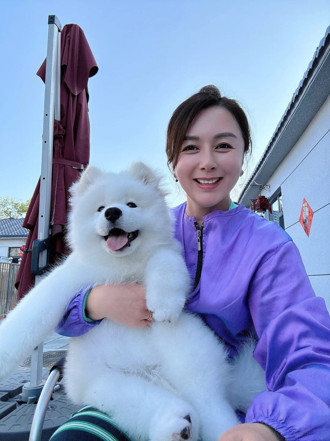 这是我近段时间最得意一只萨摩耶男孩，可惜我的自拍镜头拍不出他真实的美。。。