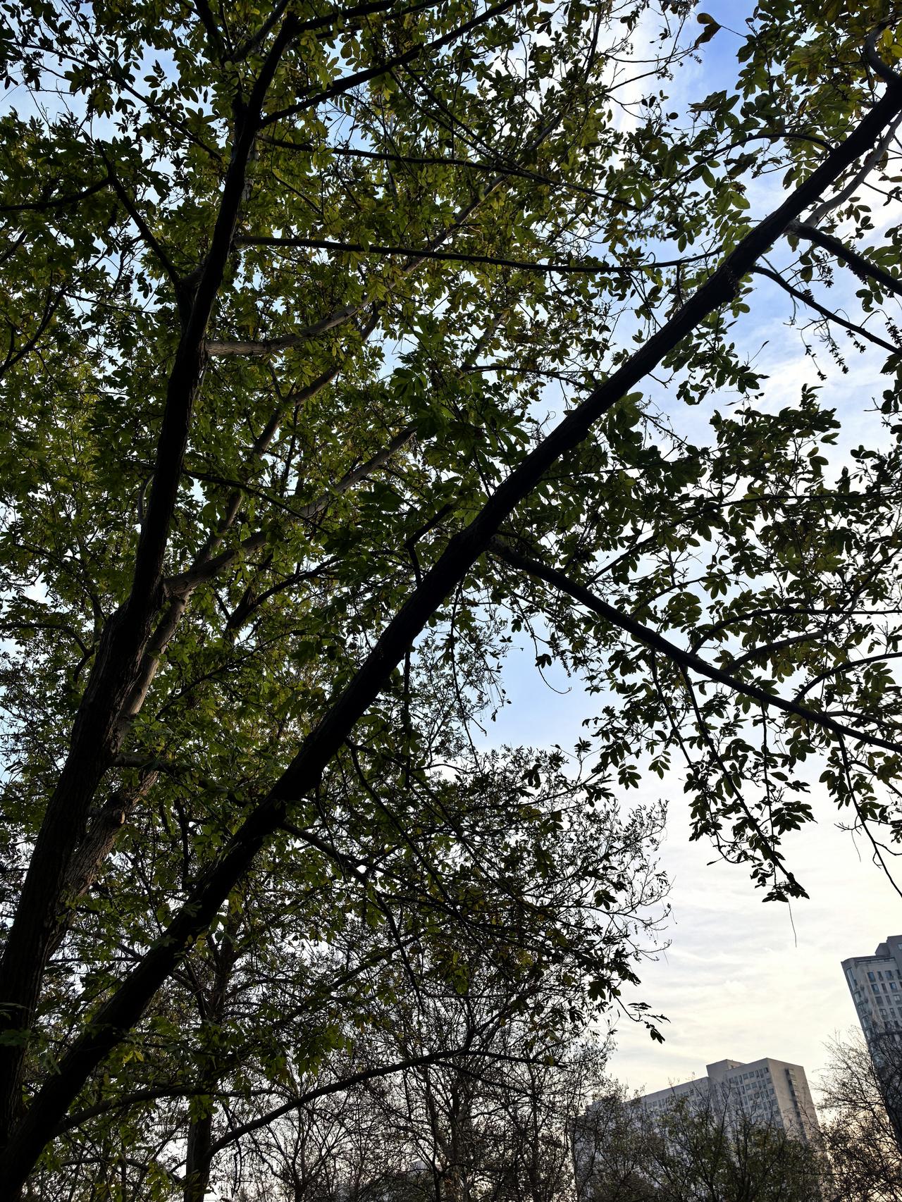 原配不理不睬，男人乐在其中，苦的只有那个她？小红书那地方，简直是婚外情的情绪