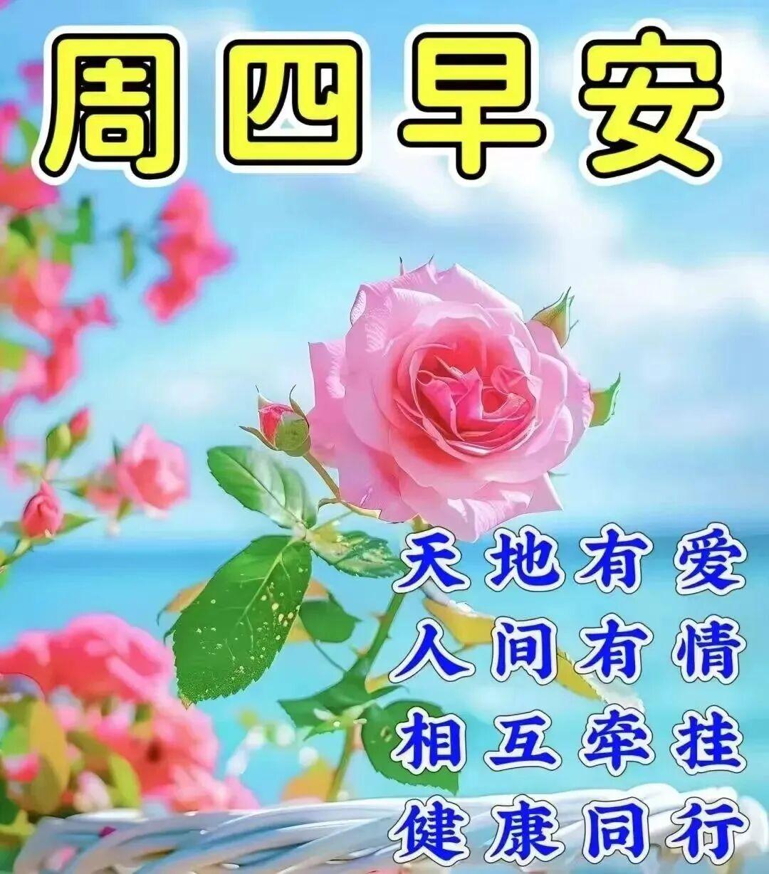 开心快乐心态好，涨了年龄心不老；留着童心看世界，日子越过越美好；想着，可亲可敬的