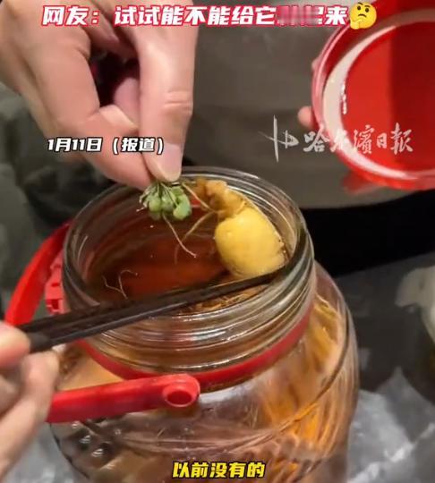 “离了个大谱！”近日，上海，一男子喜欢用人参泡酒，这天竟发现自己泡在50度药酒里