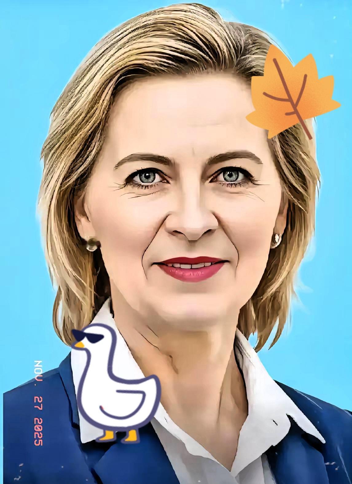 欧盟委员会宣布了11月26日，欧盟委员会主席冯德莱恩在欧洲议会的表态炸了锅——