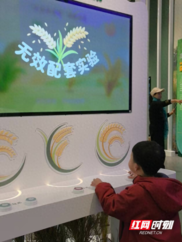 沉浸式探秘！隆平科普体验馆让亲子共赴科研之旅