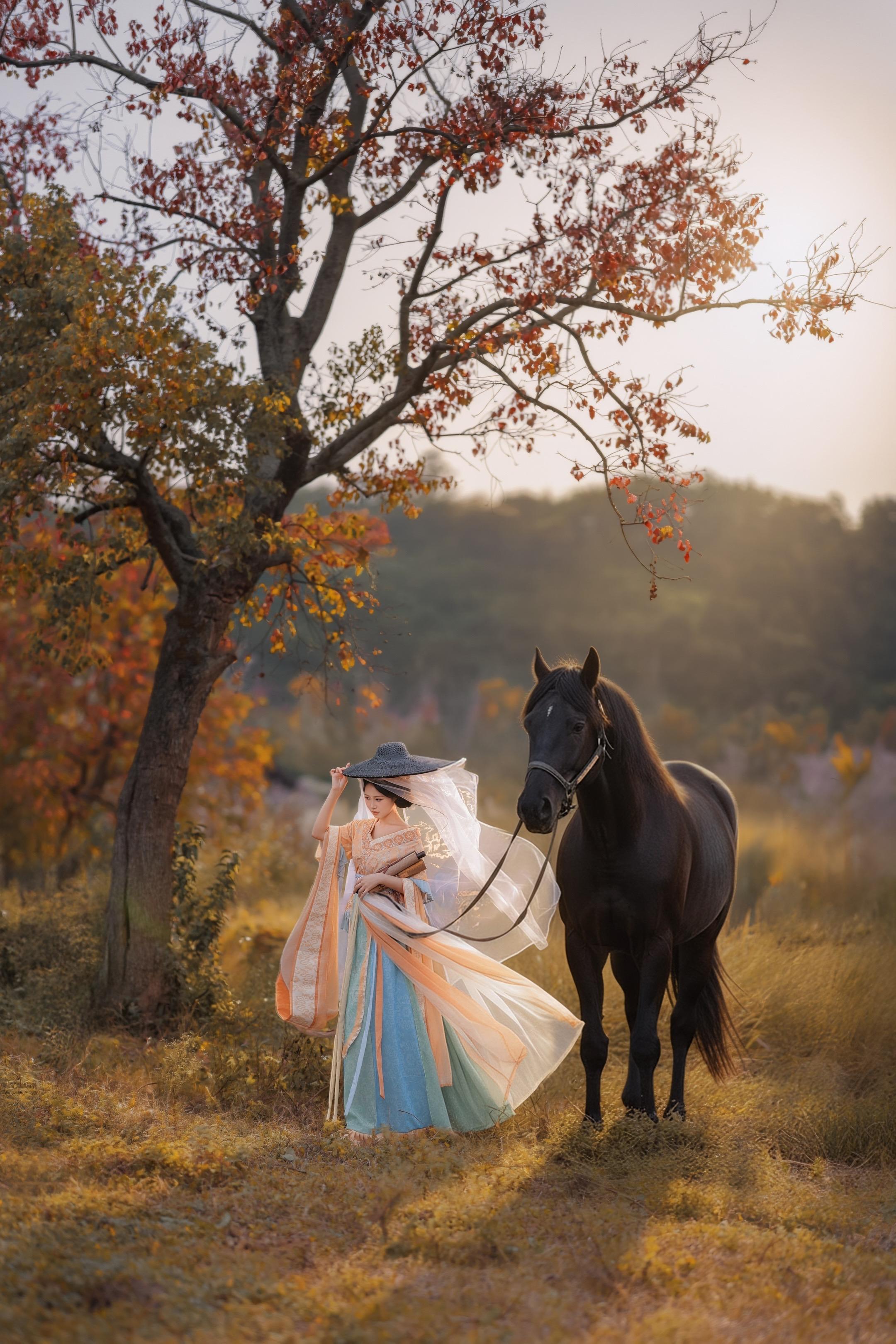 远山裹着薄雾，黑马踏过泛黄草甸，走进了马致远的秋思里～