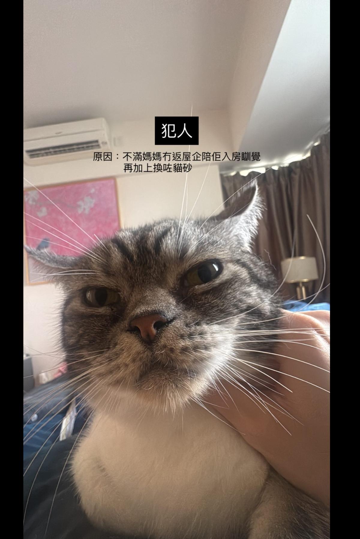 昨晚，西湾河嘉亨湾一个住宅有人报警，表示邻居传出强烈恶心臭味！看到如此内容，让接