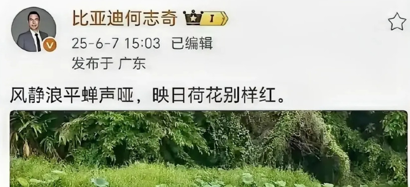 这两天车圈有点乱，又是吵架的，又是分家的，车企的事目前与我们普通消费者还无关，吃