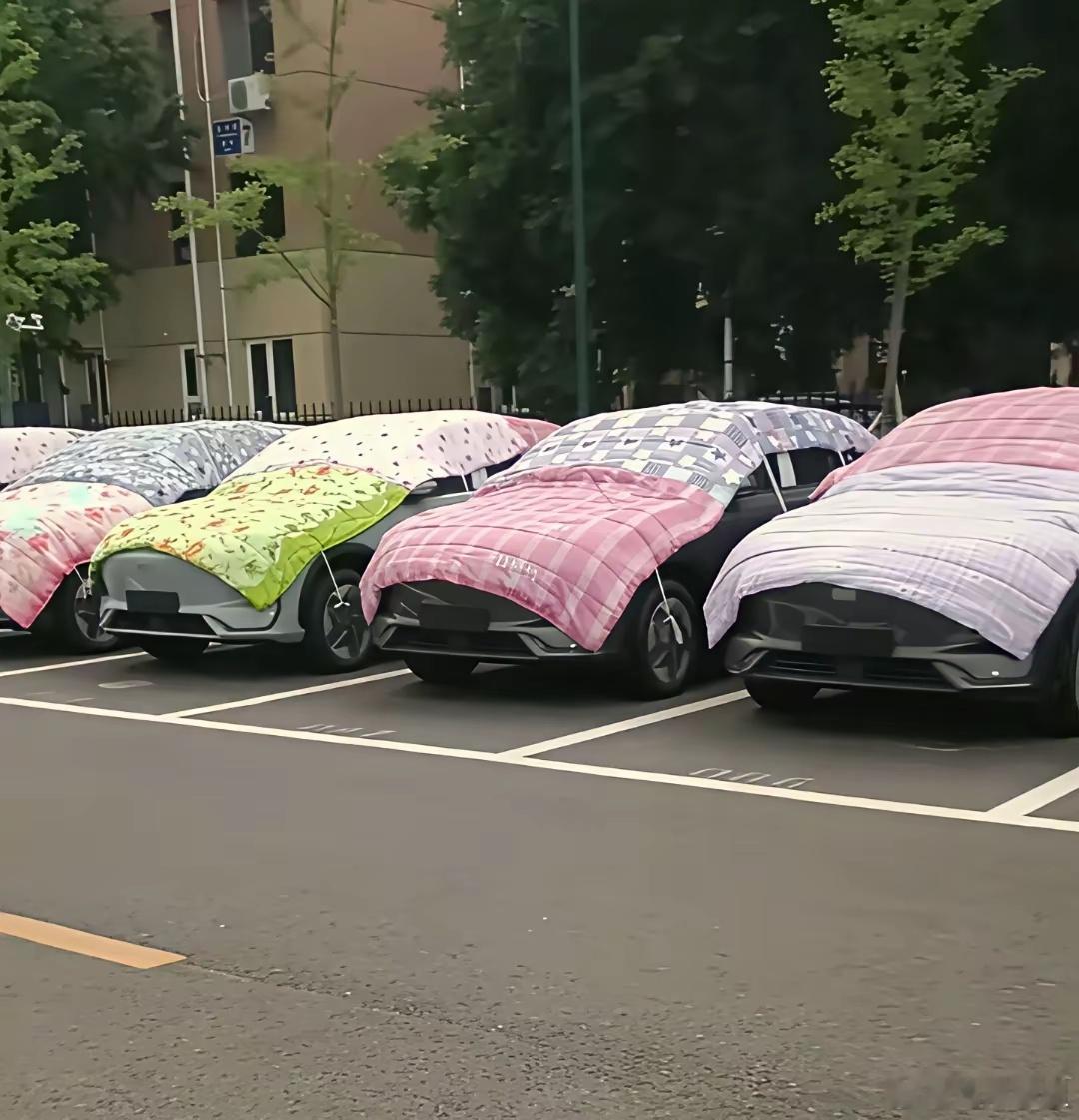 北京的车怕冷吗？大夏天都盖上了棉被​原来是京津冀大风加冰雹，很多车主有先见之明，