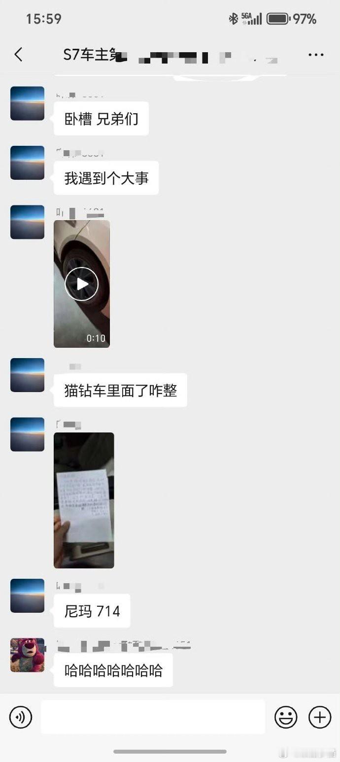 早晨准备出门，却意外地在车底下发现了一只蜷缩着取暖的小猫。本想轻轻把它赶出来，却在雨刷下发现了一张字