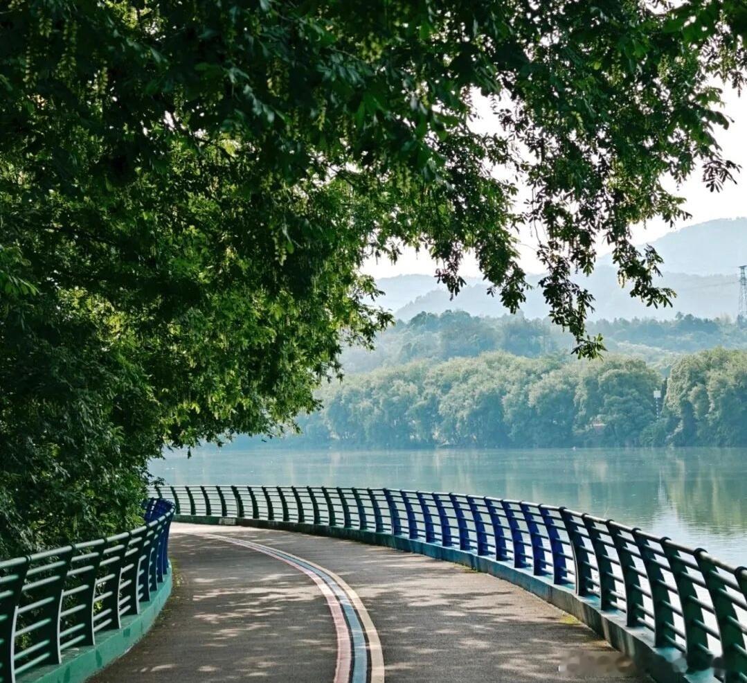 绿道沿着瓯江蜿蜒一边是粼粼江水一边是郁郁森林约上三五好友骑上自行车在平坦开阔的绿