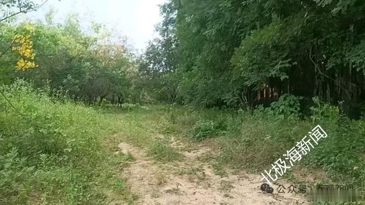 小布益陕西扶风：210亩耕地流转欠租撂荒村民维权遇困近日，陕西扶风县城