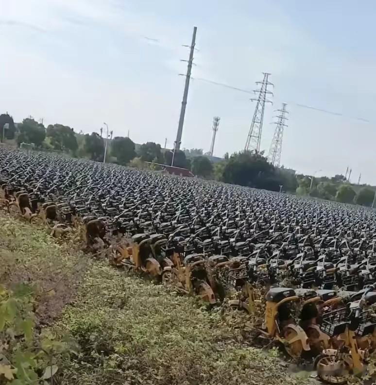 为什么扔了也不低价处理呢？