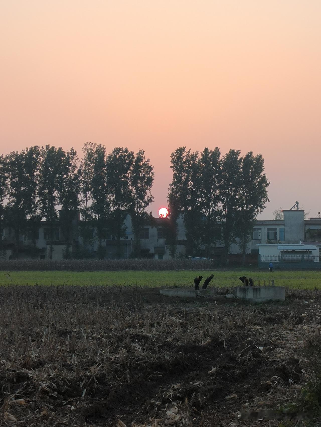 如今实体店生意不佳,缘由在于顾客稀少,大街上冷冷清清。那么,人都去往何处了呢?