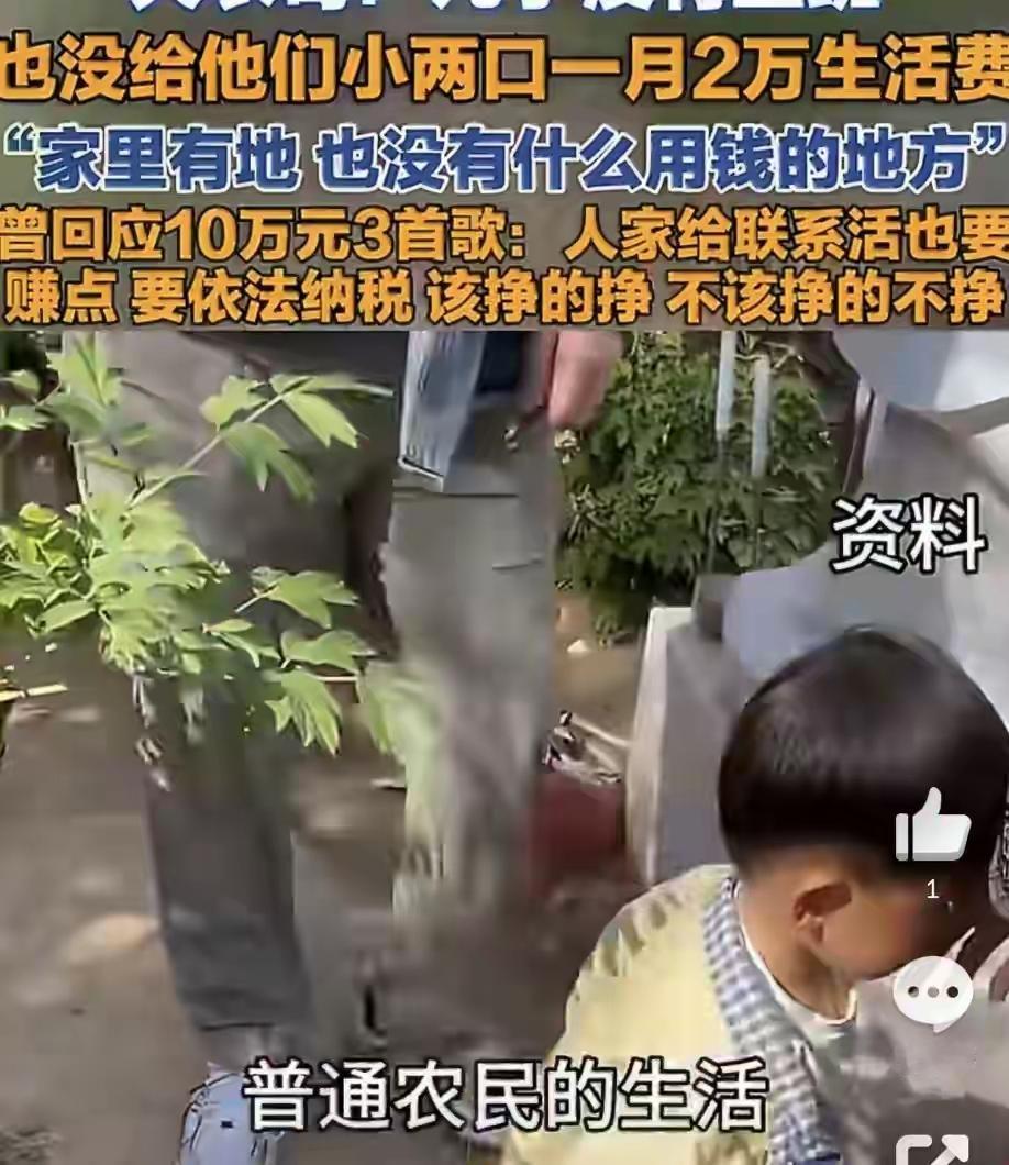 大衣哥说自己的儿子没有上班，家里不需要开销，多少钱，农村有自己的地，有自己的粮，
