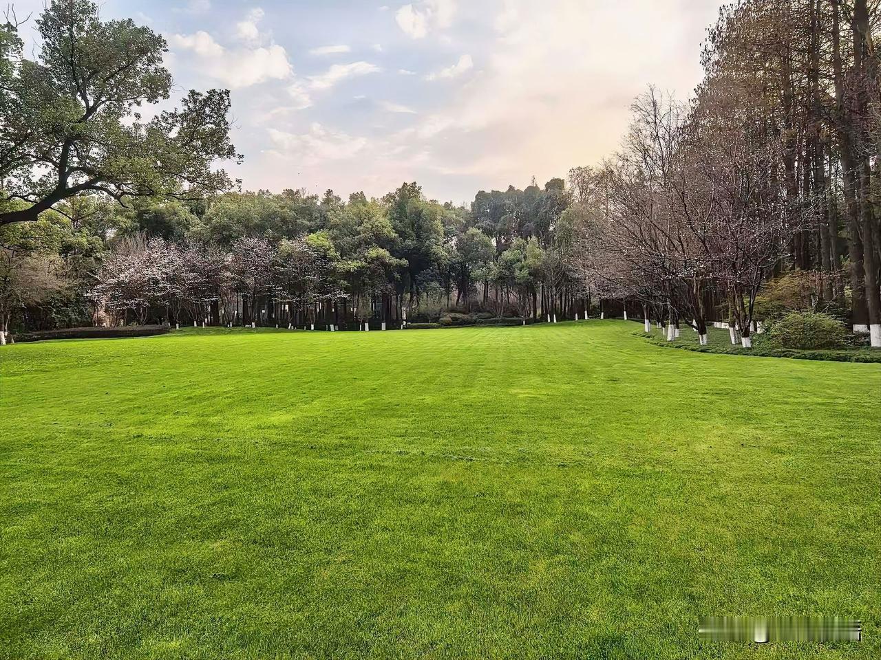 告诉父母们一个扎心的事实：儿女找对象，别再盯有房有车了，过时了！这“新三样”