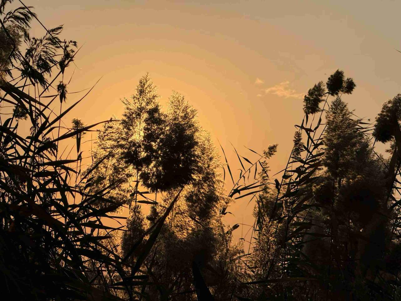 我的今日状态：🏝️旅行度假我这里的天气：☀️晴天