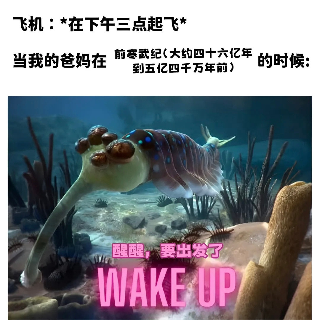 是你等车，不是车等你[doge]meme​​​