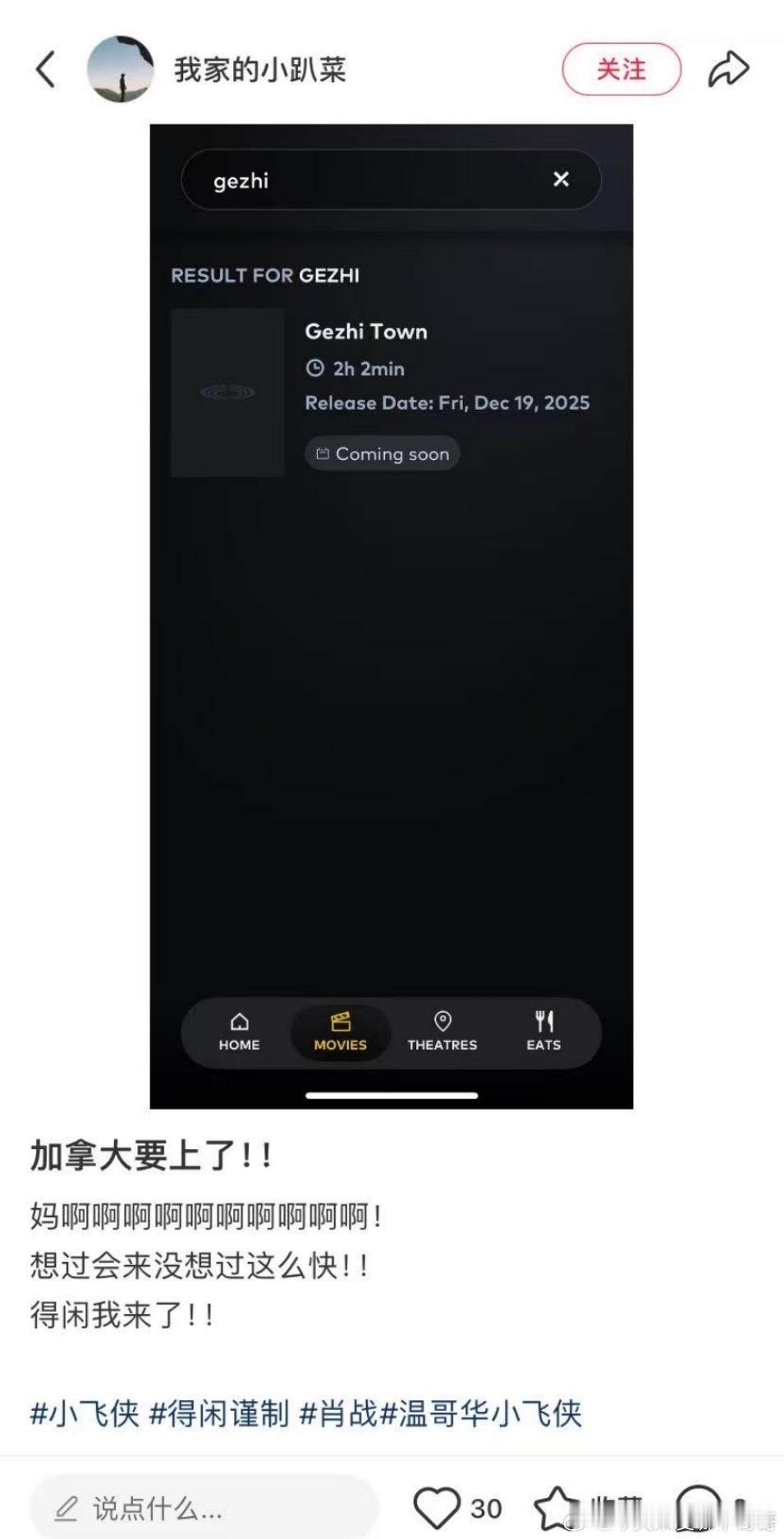 肖战《得闲谨制》"GezhiTown"将在12月19日加拿大上映！“戈止镇”