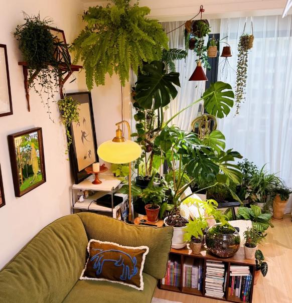 客厅养花虽能美化环境，但选错位置反而会影响健康！根据生活经验和植物习性，客厅有