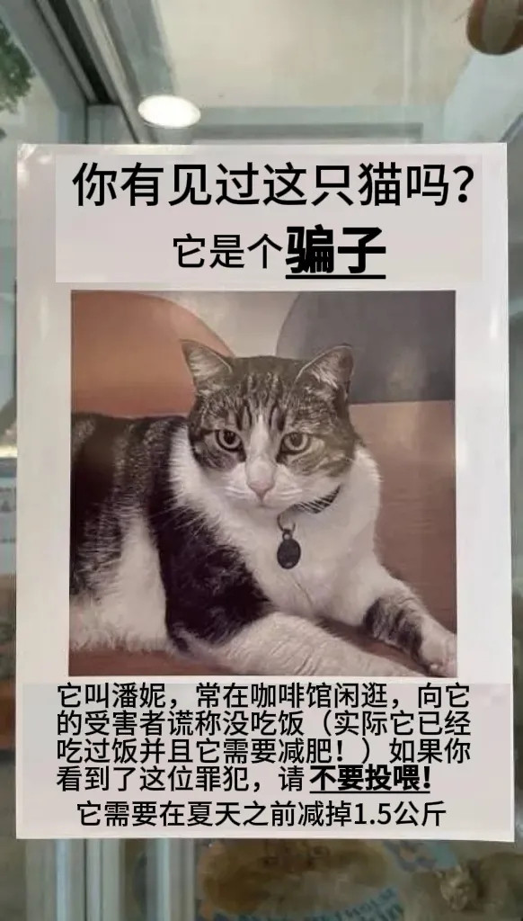 大家别上当​​​