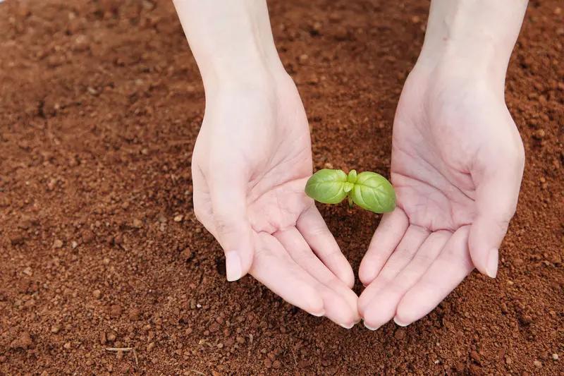 感人至深！陕西农村妇女坚守12年，只为迎来奇迹般的奇迹，她的第一句话让全村都泪崩