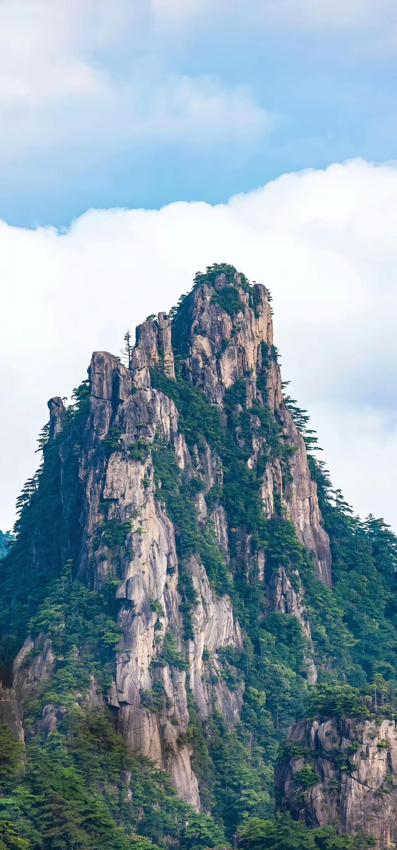 想看看最好看的一张壁纸