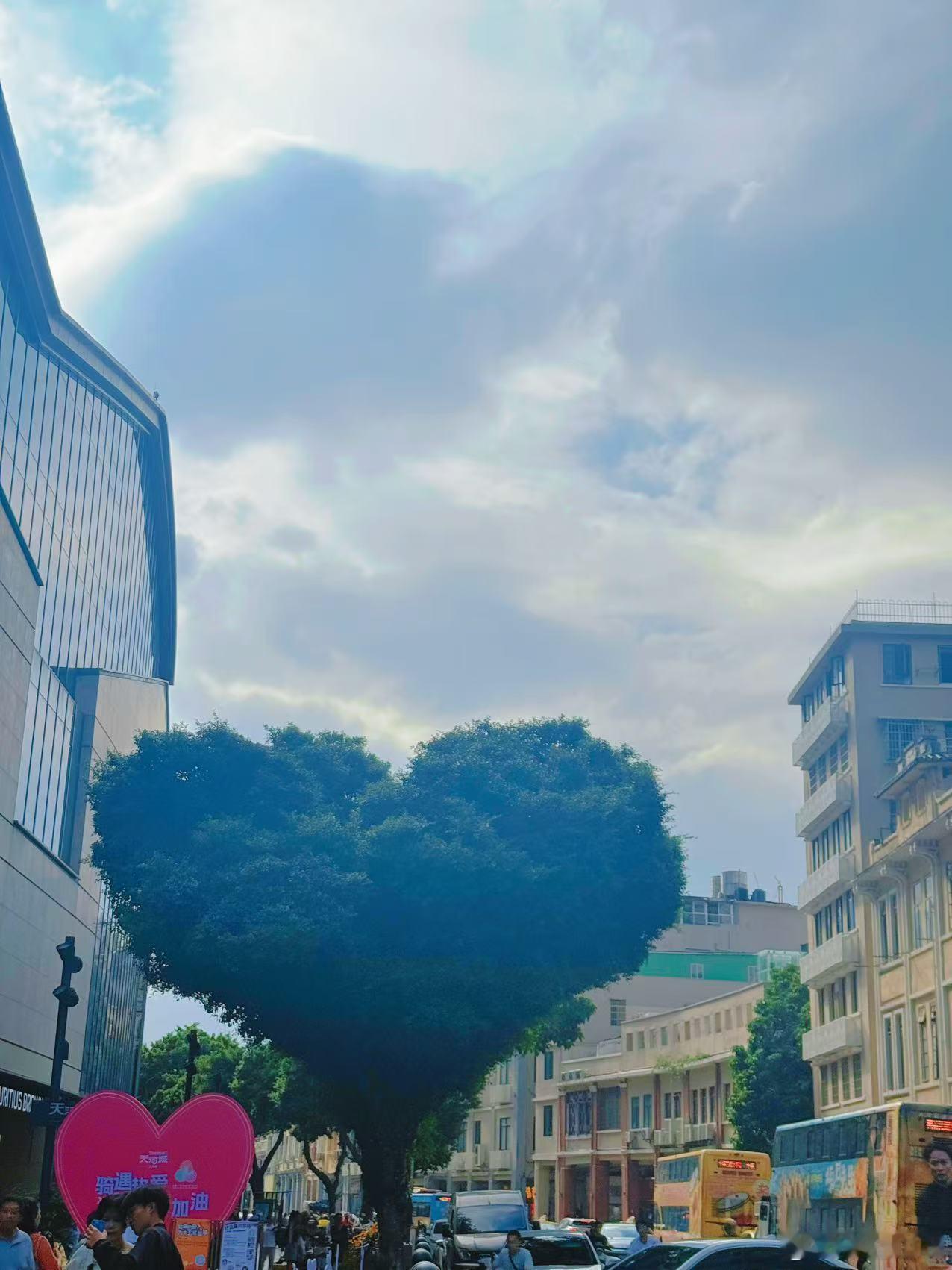 树都是心形的了！​​​