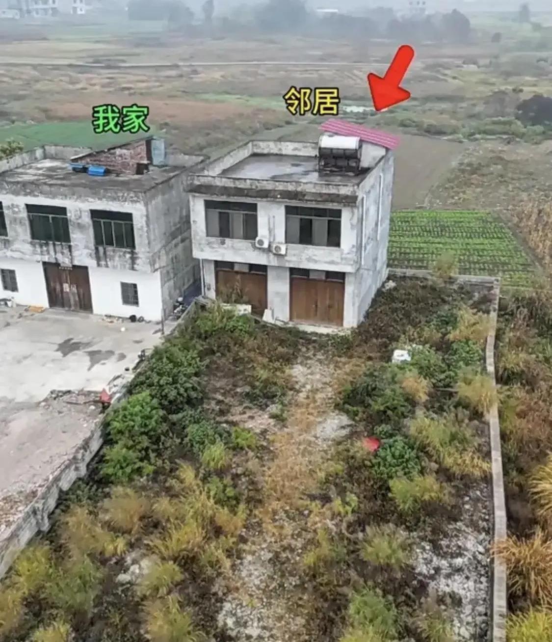 我邻居那个荒废的院子，杂草长得都快比人高了。我寻思着空着也是浪费，就敲开门，很